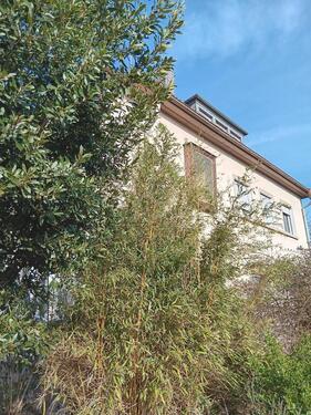 Foto - 6 Zimmer Maisonettenwohnung zur Miete in Ginsheim-Gustavsburg