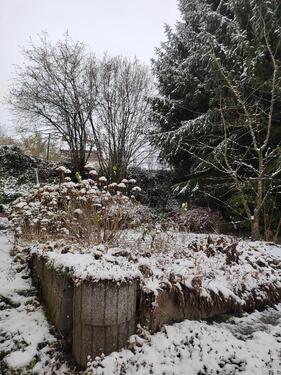 Foto - 3 Zimmer Einfamilienhaus in Marpingen