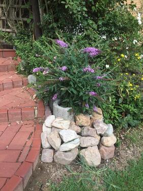 Foto - Maisonettenwohnung in Petershagen zur Miete