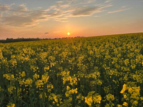 Foto - Wohnung zu verkaufen – ruhig & trotzdem mitten im Leben!
