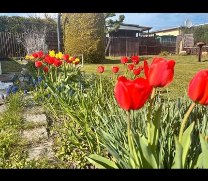 Foto - Grundst&uuml;ck zum Kaufen in Plauen