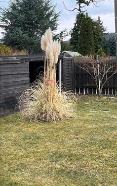 Foto - Grundst&uuml;ck in Plauen