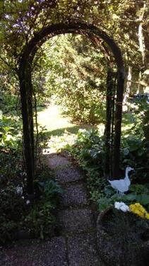 Foto - 1 Zimmer Einfamilienhaus in Stadtoldendorf