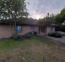 schöner Bungalow mit 5 Zimmern, 145qm WFL, in Ebstorf