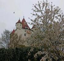 Tiefgaragenstellplatz am Schachenwald - Haag in Oberbayern