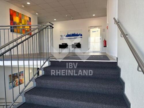 Foto - andere in Krefeld