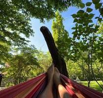 Haus im Grünen - 1.200,00 EUR Kaltmiete, ca.  127,00 m² in Baddeckenstedt (PLZ: 38271)