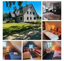 Landurlaub wie aus dem Bilderbuch für 2-6 Pers u 3 Hunden - Mettingen