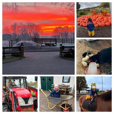 Foto - andere zur Miete in Mettingen