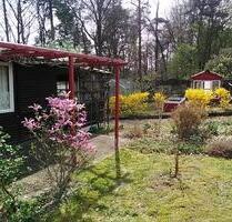 Kleingarten auf Pachtland im Wanderparadies - Bad Schandau