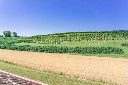 Foto - 6 Zimmer Dachgeschoßwohnung zum Kaufen in Büsingen am Hochrhein
