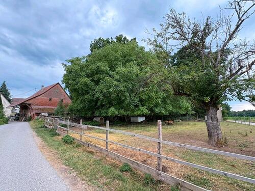 Foto - Einfamilienhaus mit Hofstelle - 420.000,00&nbsp;EUR Kaufpreis, ca.&nbsp; 120,00&nbsp;m&sup2;