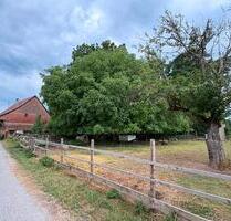 Einfamilienhaus mit Hofstelle - 420.000,00&nbsp;EUR Kaufpreis, ca.&nbsp; 120,00&nbsp;m&sup2; in Biberach an der Riß (PLZ: 88400)