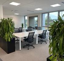 Offene Arbeitsplätze im Grünen Coworking Frechen flexibel sofort verfügbar