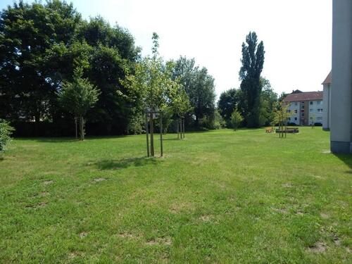 Foto - 2 Zimmer Etagenwohnung in Gladbeck