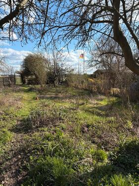 Foto - Grundst&uuml;ck zur Miete in Walsrode