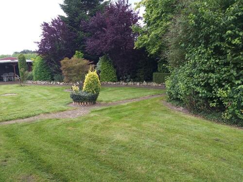 Foto - 5 Zimmer Einfamilienhaus in Friesoythe