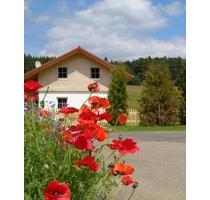 Urlaub im Ferienhaus Geyerbad mit Sauna und großem Garten - Meßstetten