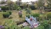 Foto - Garten, 370 m² in Plauen, Kloppstockstraße