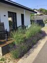 Foto - 1 Zimmer Erdgeschoßwohnung zur Miete in Morbach