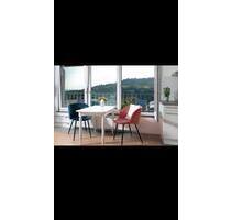 1 -Zi-Wo, komplett ausgestattet, renoviert, grenznah - Lörrach Salzert