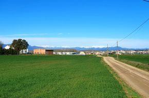 Foto - 