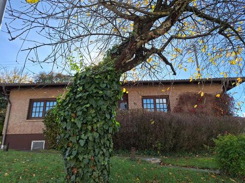 Foto - Bungalow in Sternenfels zum Kaufen