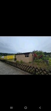 Foto - kleingarten zu Verpachten in der Weststadt