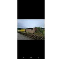 kleingarten zu Verpachten in der Weststadt - Braunschweig