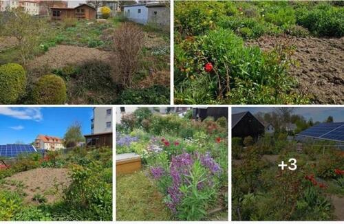 Foto - Garten zur Pacht in Brand Erbisdorf