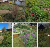 Garten zur Pacht in Brand Erbisdorf - Brand-Erbisdorf