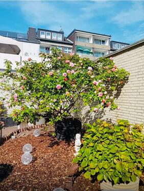 Foto - Einfamilienhaus in Neuss