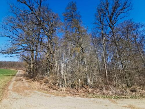 Foto - Grundst&uuml;ck in Geislingen an der Steige