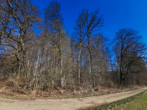 Foto - Grundst&uuml;ck in Geislingen an der Steige zur Miete