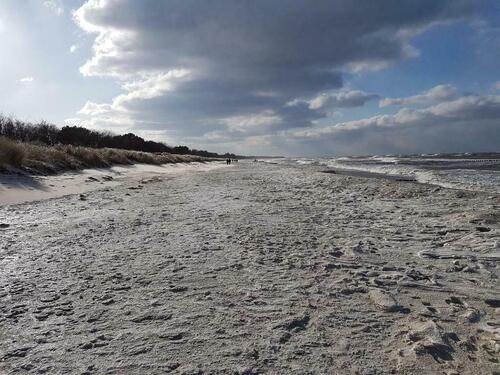 Foto - andere zur Miete in Zingst