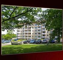 Sonnenbalkon... Neues Laminat... Bad mit Fenster... - Chemnitz Kapellenberg