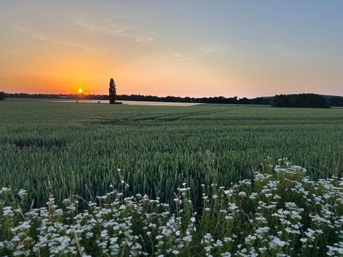 Foto - Leben auf dem Land - HOFLAMPE - 1.259,00 EUR Kaltmiete,