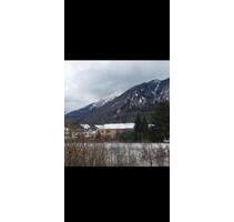 2 Zimmer Wohnung mit Balkon neu renoviert - Bad Reichenhall