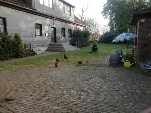 Foto - 2 Zimmer Erdgeschoßwohnung in Liepgarten