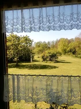 Foto - Erdgeschoßwohnung in Liepgarten zur Miete