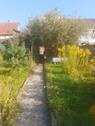 Foto - Ohne Provision! Wohn-Gesch.haus. o. 1-2 FH, 194 qm,440m²,Garten
