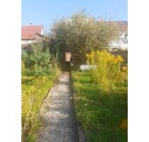 Ohne Provision! Wohn-Gesch.haus. o. 1-2 FH, 194 qm,440m²,Garten - Hochspeyer