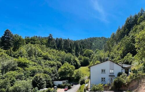 Foto - Einfamilienhaus in Hornberg zum Kaufen