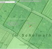 Weinberg 1309qm - 3.273,00&nbsp;EUR Kaltmiete, ca.&nbsp; 0,00&nbsp;m&sup2; in Leutesdorf (PLZ: 56599)