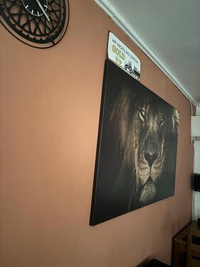 Foto - 