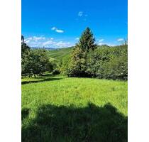 Freizeitgrundstück zum pachten (in Schnait) - Weinstadt