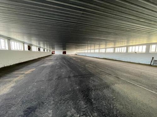 Foto - Biete geräumige Lagerhalle mit Asphaltboden - 1.000 m³ in Pyrna