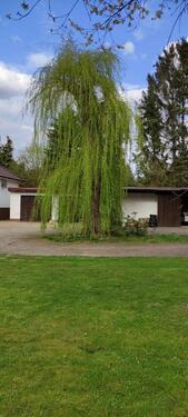 Foto - Einfamilienhaus zum Kaufen in Karwitz