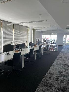 Foto - andere in Berlin zur Miete