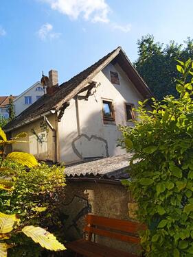 Foto - 4 Zimmer Einfamilienhaus in Weimar